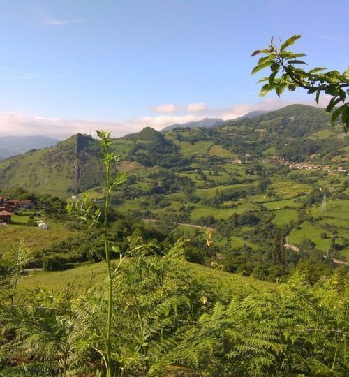 Camino de San Salvador - La Cabra al Monte